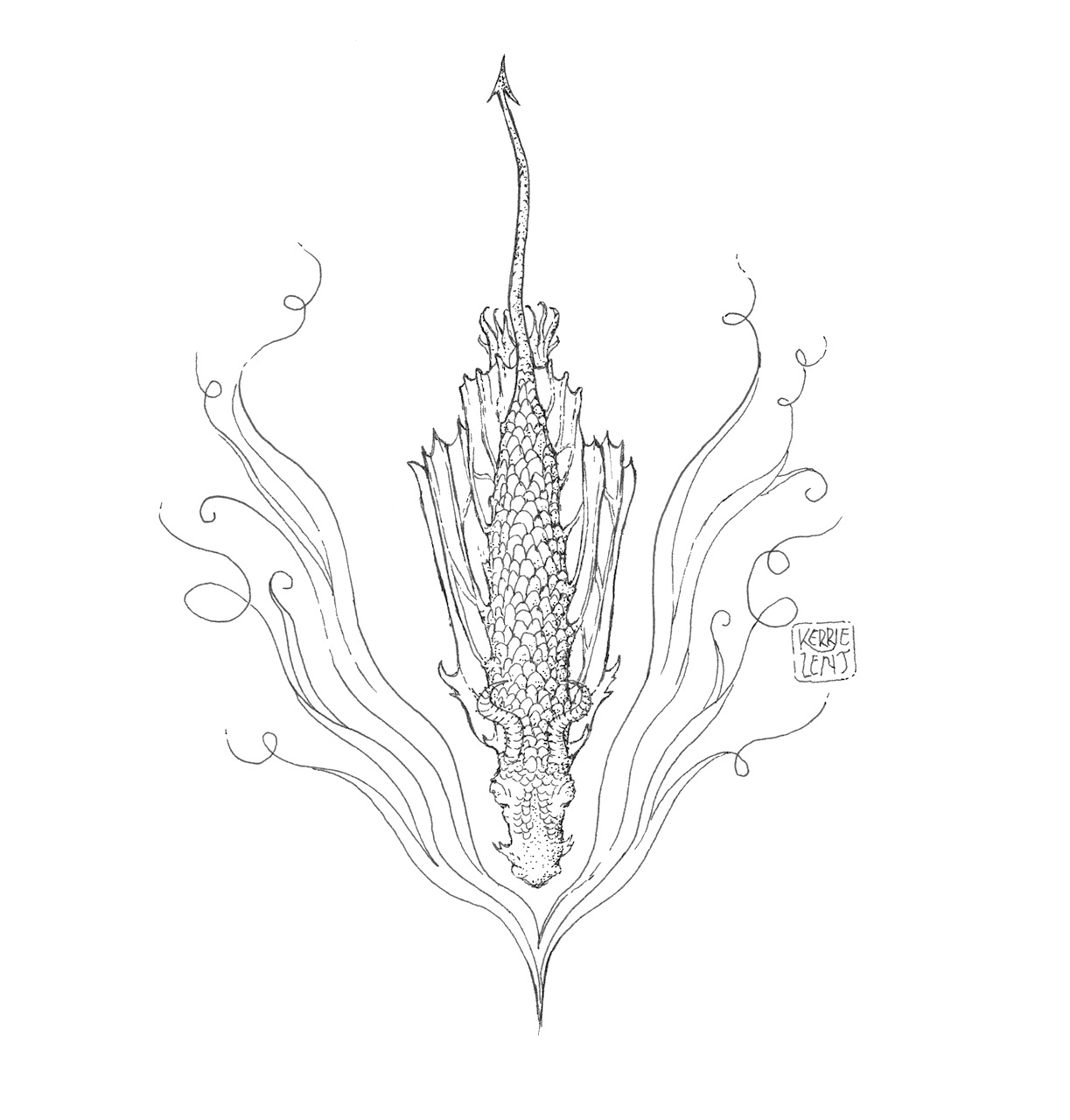 Dragon diving - colour scan